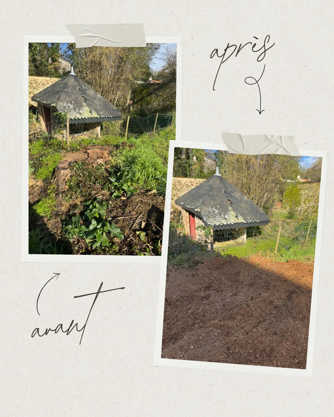 Dessouchage’Express 1