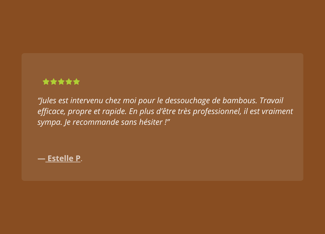 Dessouchage'Express - AVIS (2)