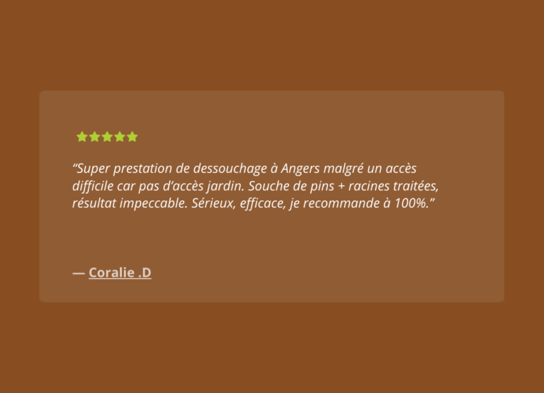 Dessouchage'Express - AVIS (2)