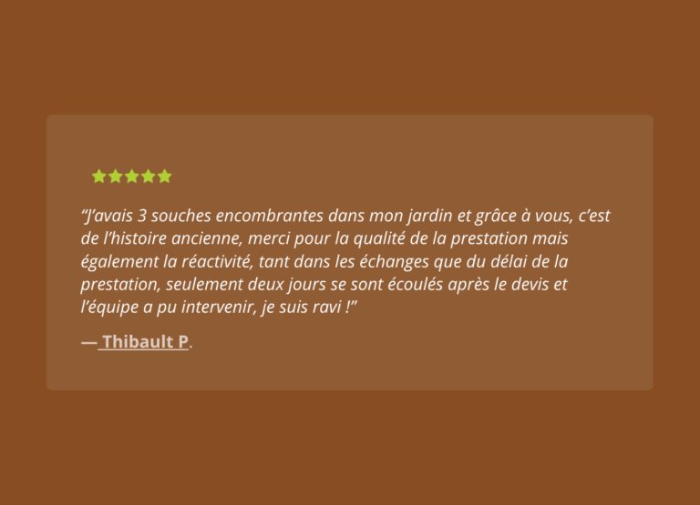 Dessouchage'Express - AVIS (3)