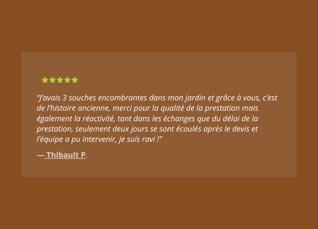 Dessouchage'Express - AVIS (3)