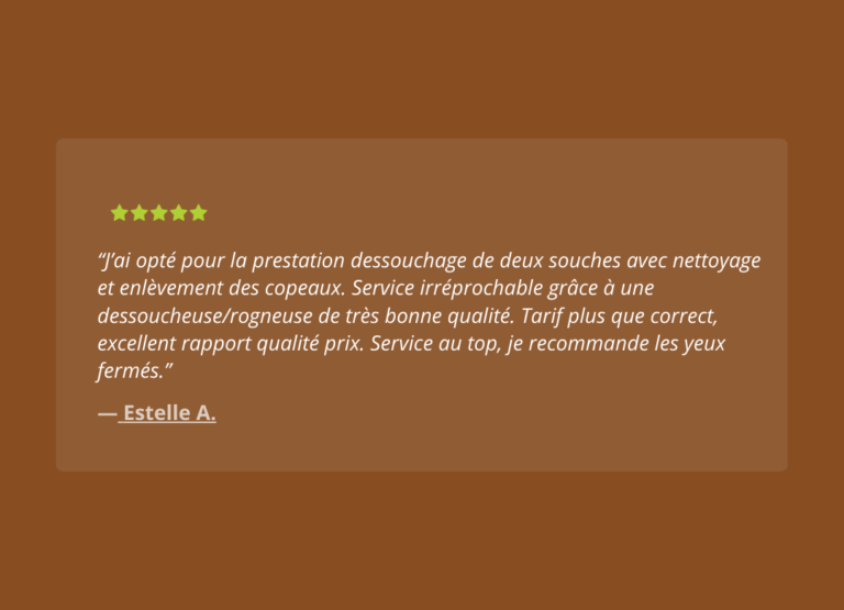 Dessouchage'Express - AVIS (3)