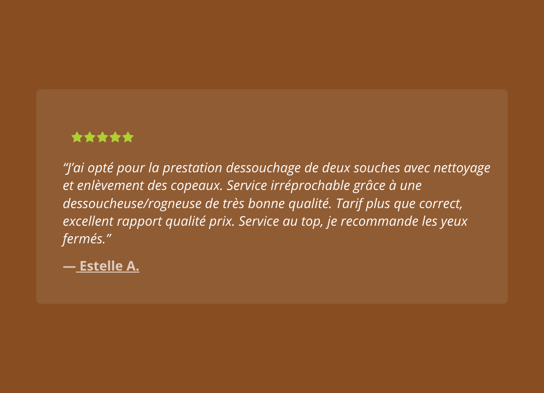 Dessouchage'Express - AVIS (3)