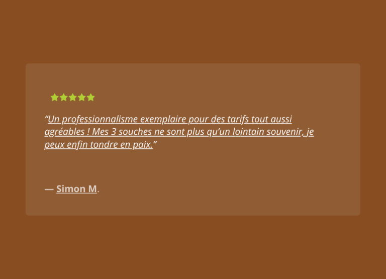 Dessouchage'Express - AVIS (4)