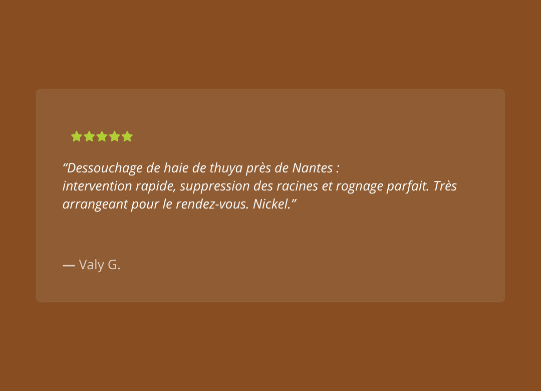 Dessouchage'Express - AVIS (7)