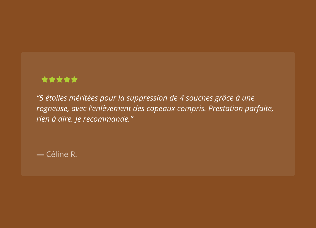 Dessouchage'Express - AVIS (8)