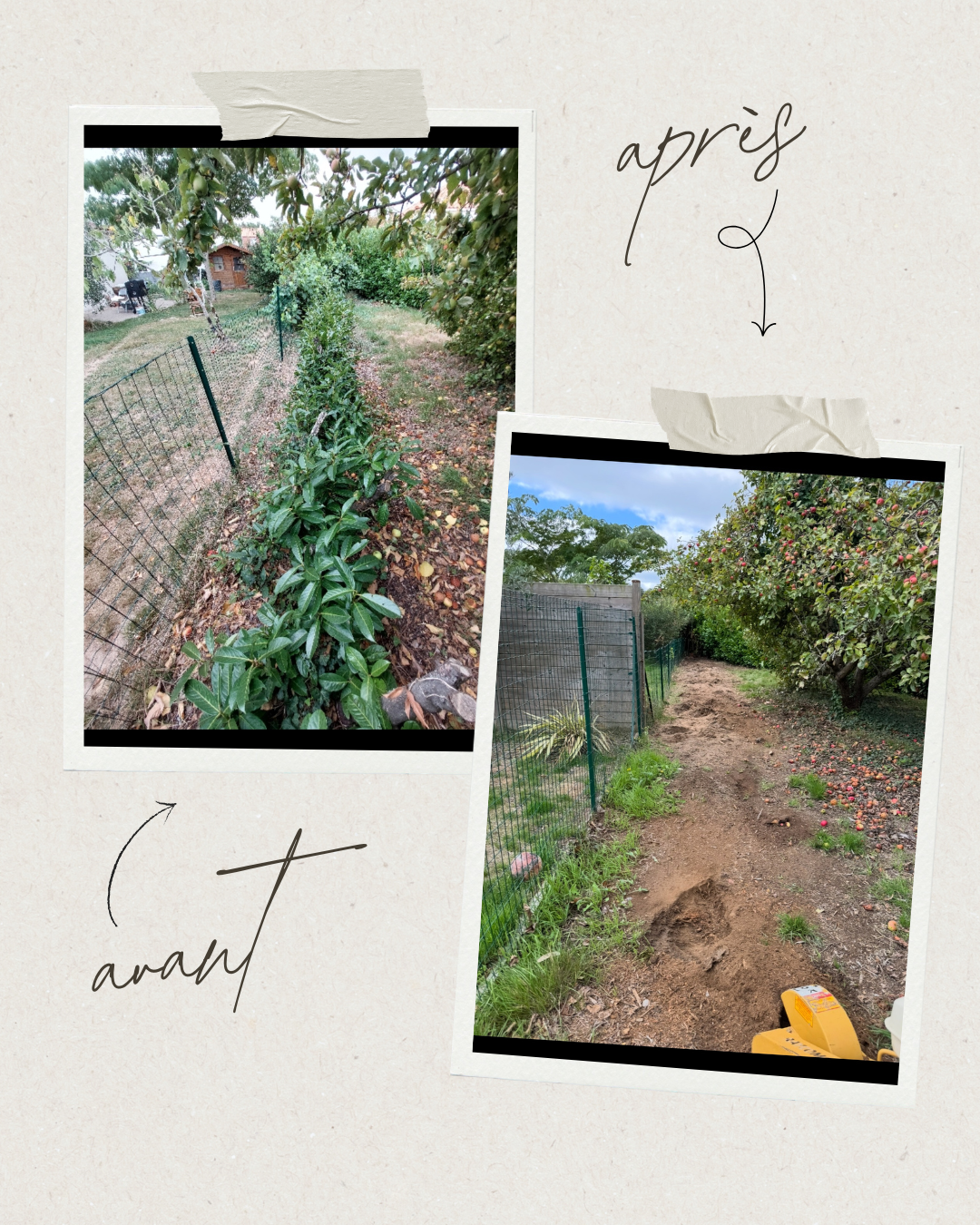 Dessouchage’Express 2