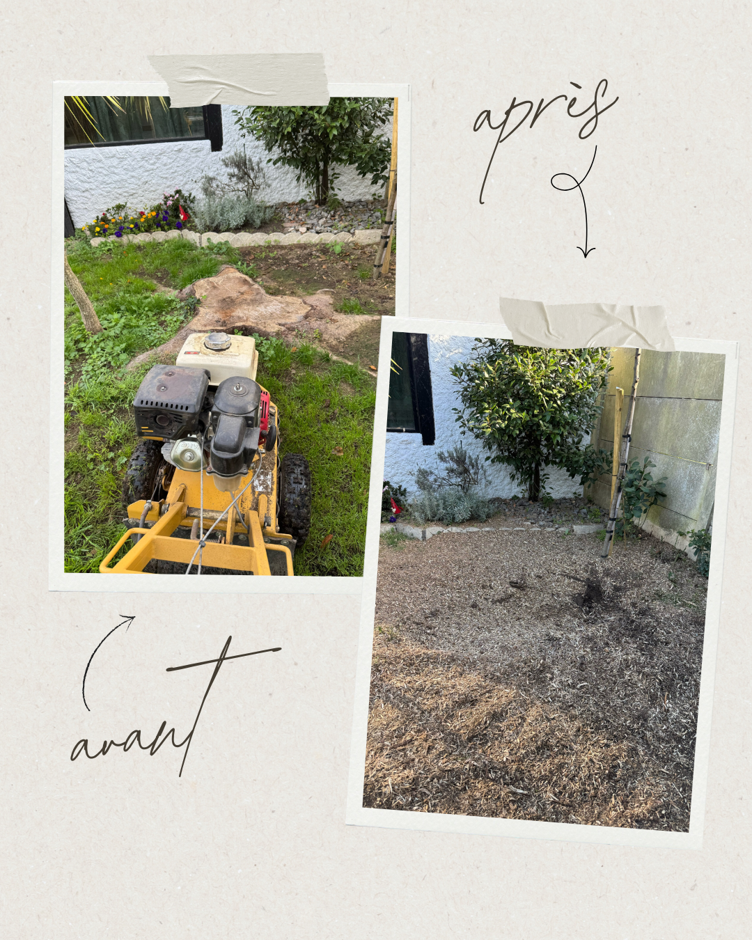 Dessouchage’Express 3