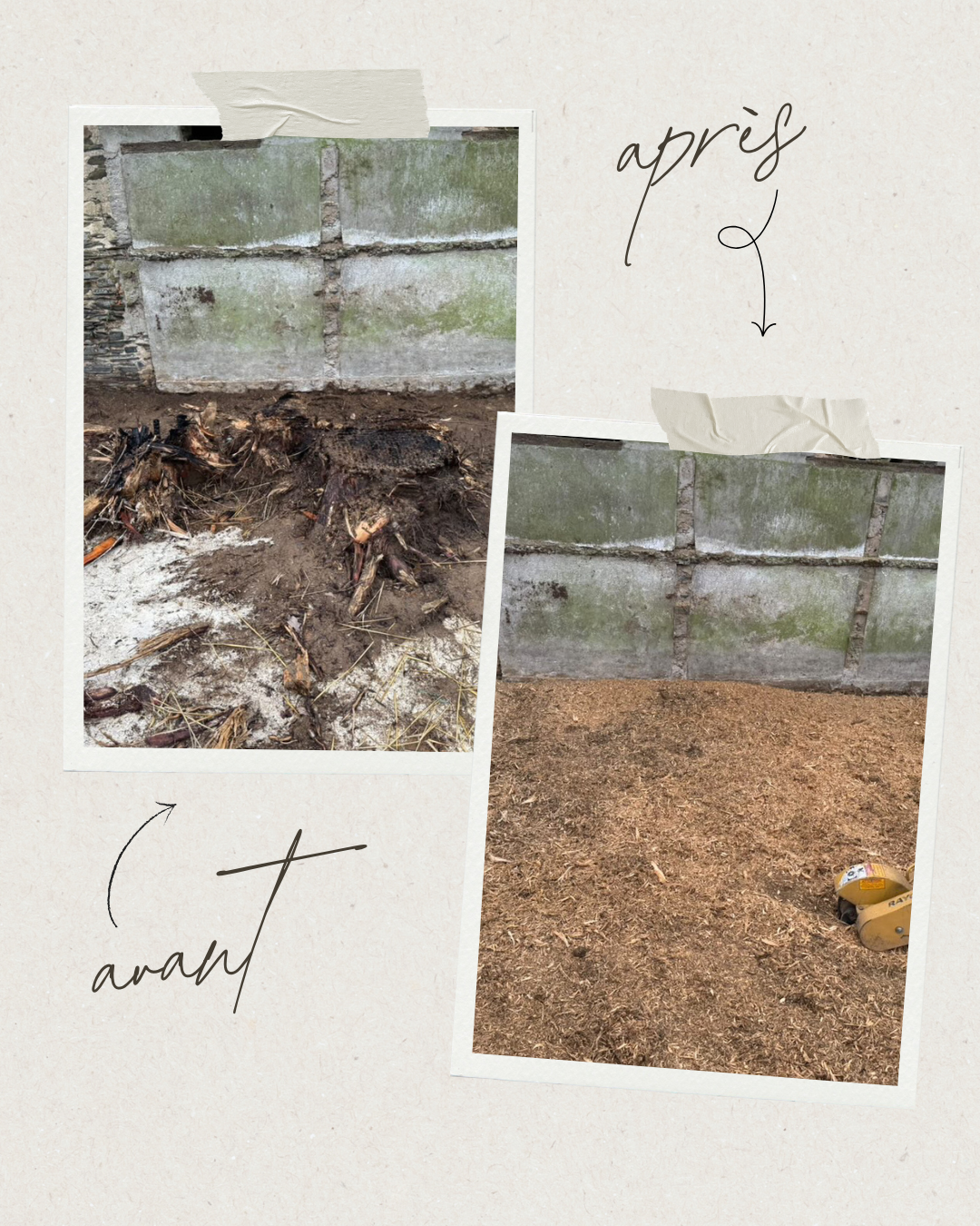 Dessouchage’Express 5