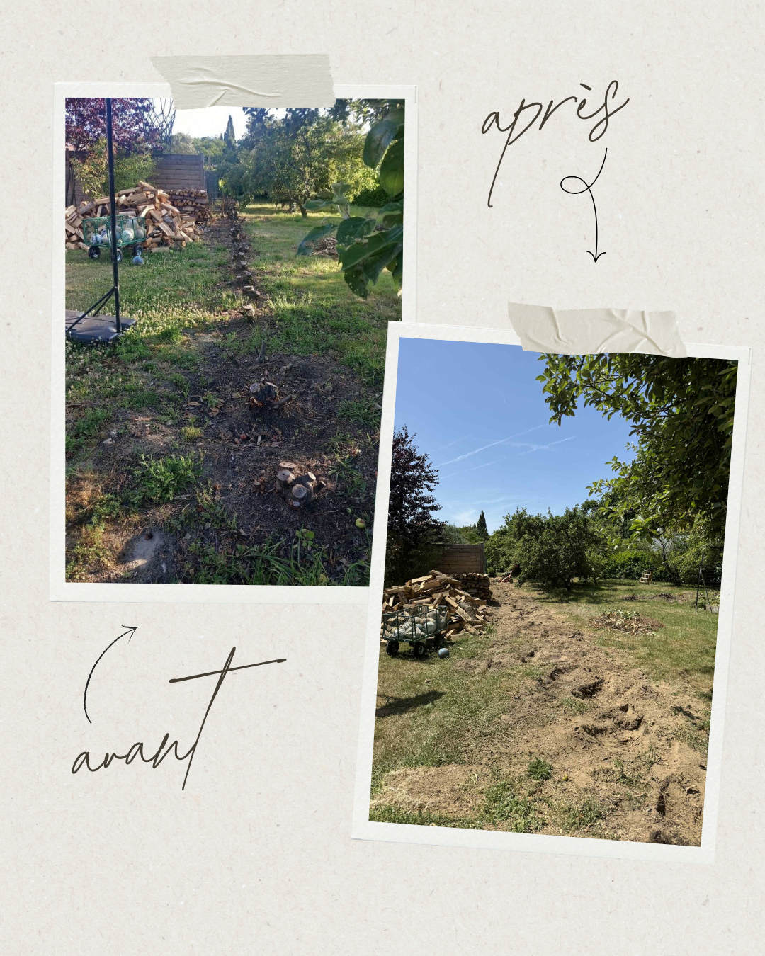 Dessouchage’Express 6